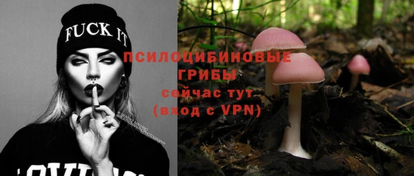 apvp Заволжск