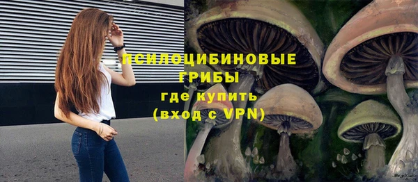 MDMA Premium VHQ Заводоуковск