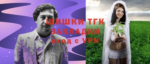 мдма Ельня